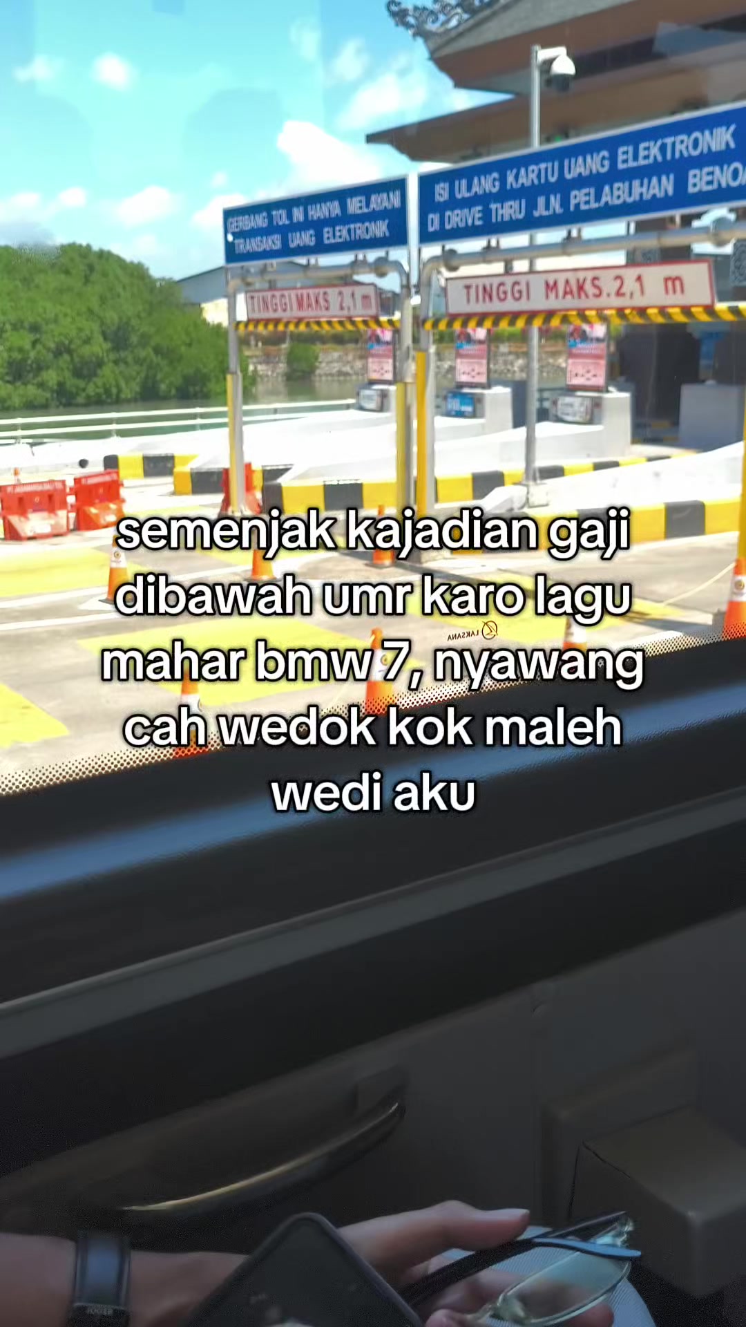 @aliell