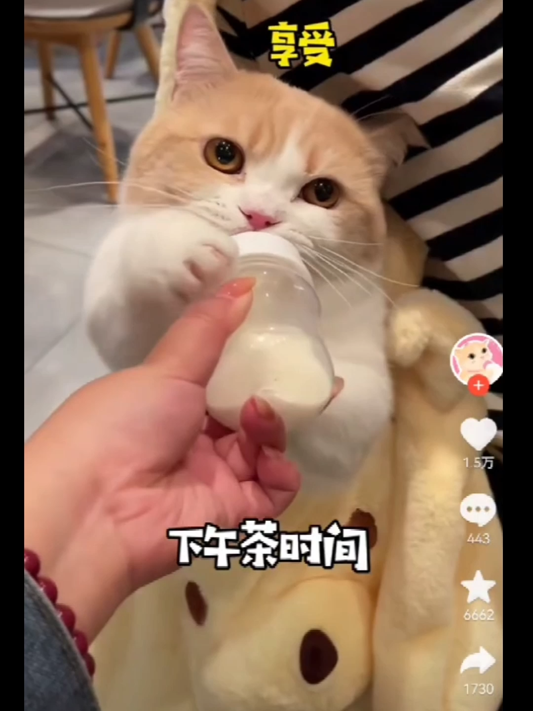 @Meanwhile in China
