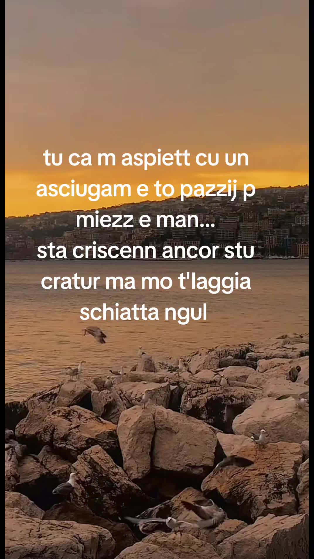 @19napoletano19