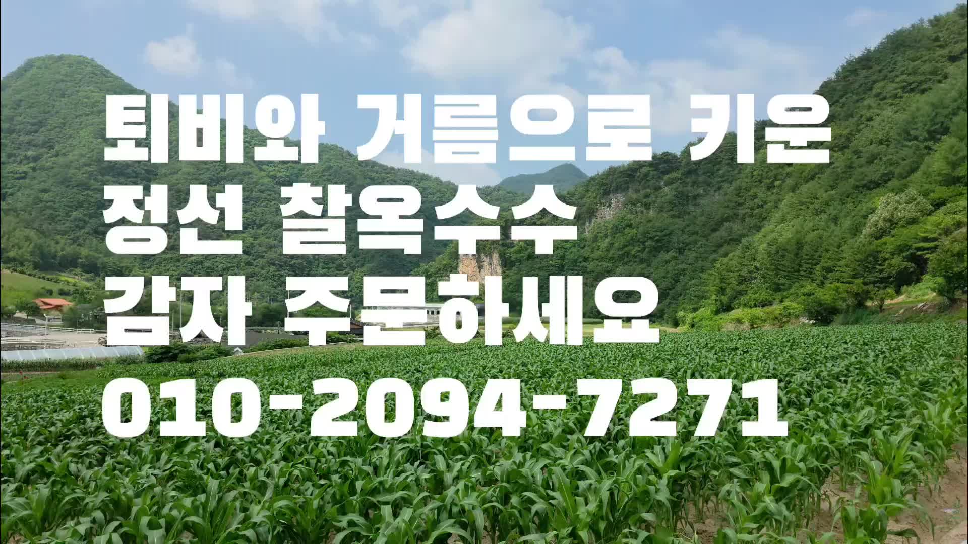@유튜브 "정선사람들" 안용현