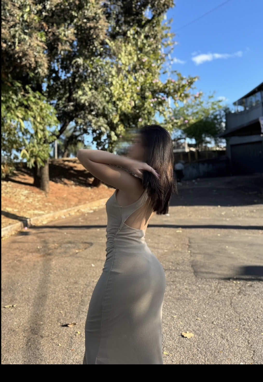 @Carvalho 🦖