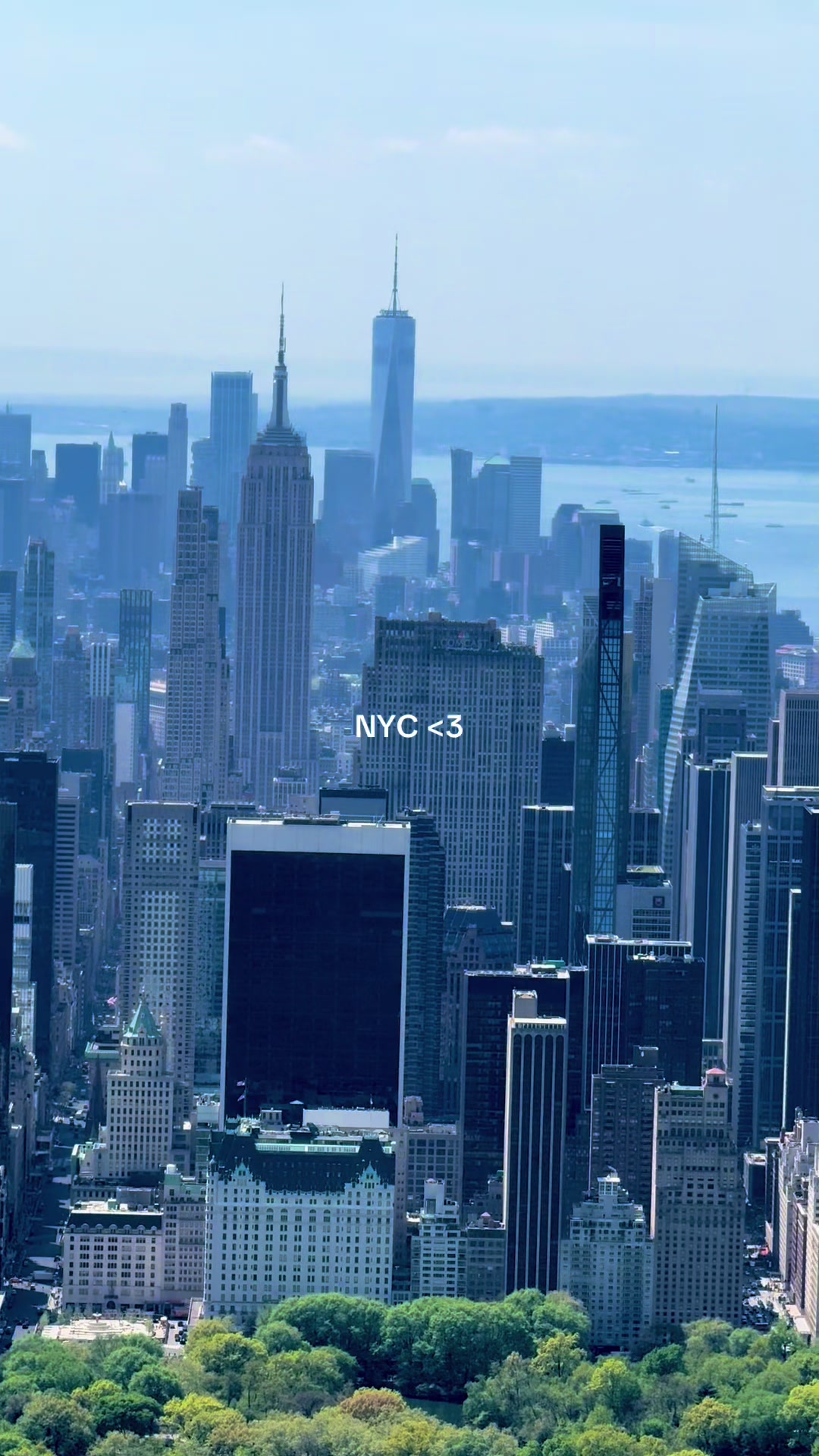 @FlyNYON