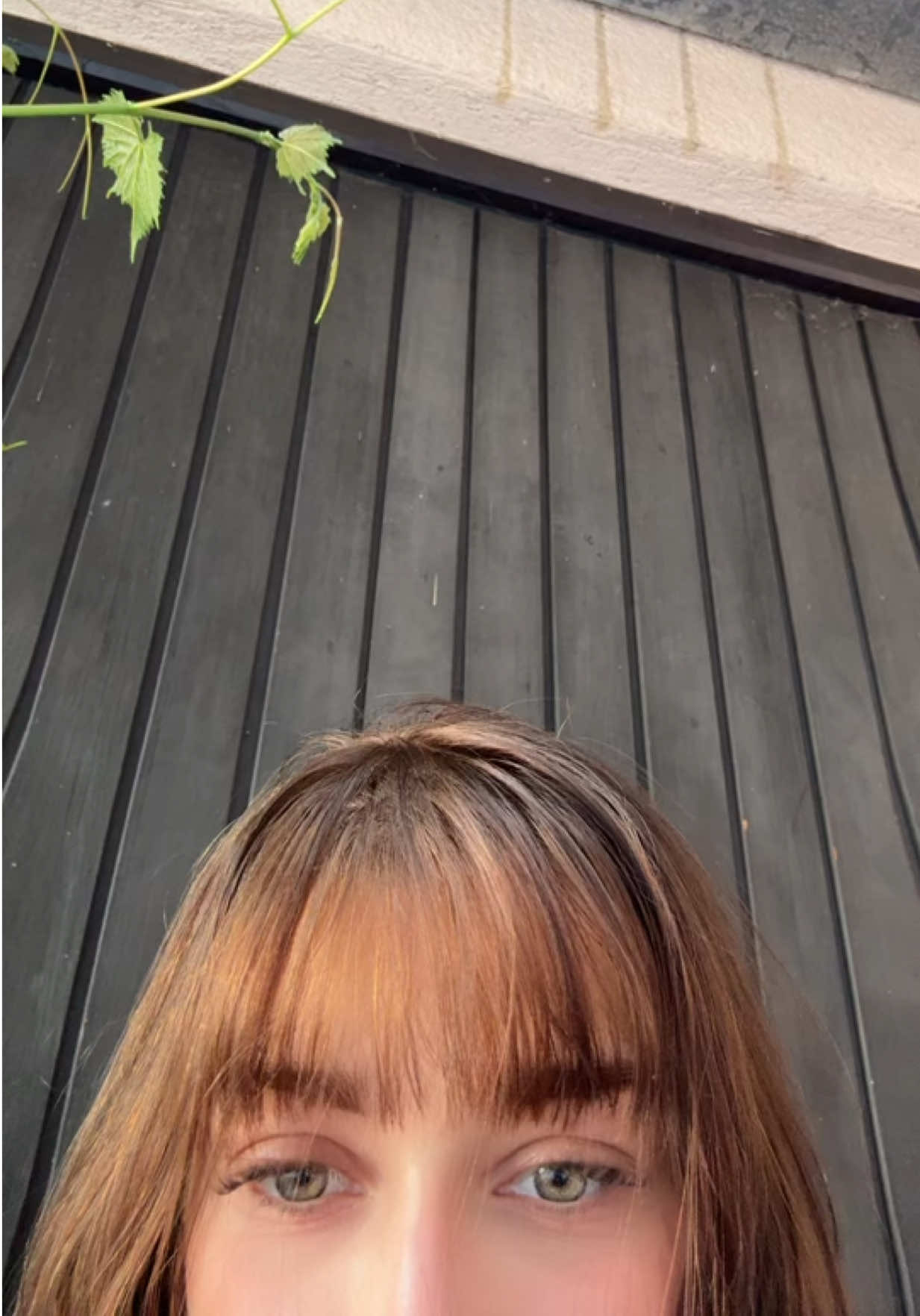 @_s1fa