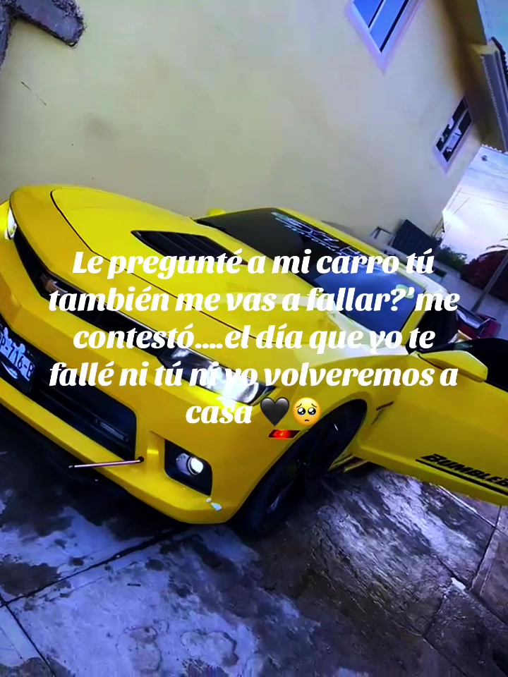 @Alexis CAMARO SS BUMBLEBEE