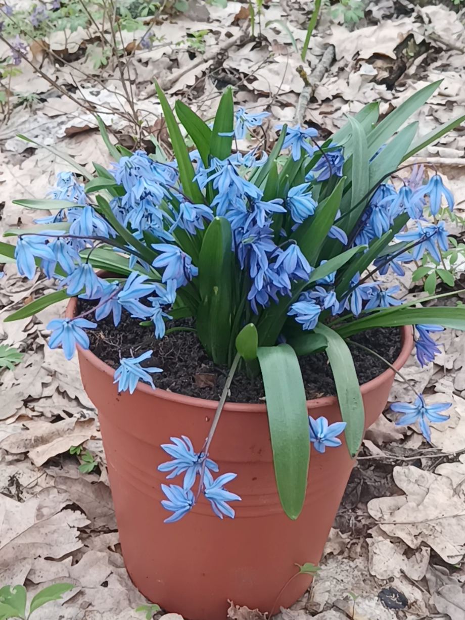 @Кристина Чернявка