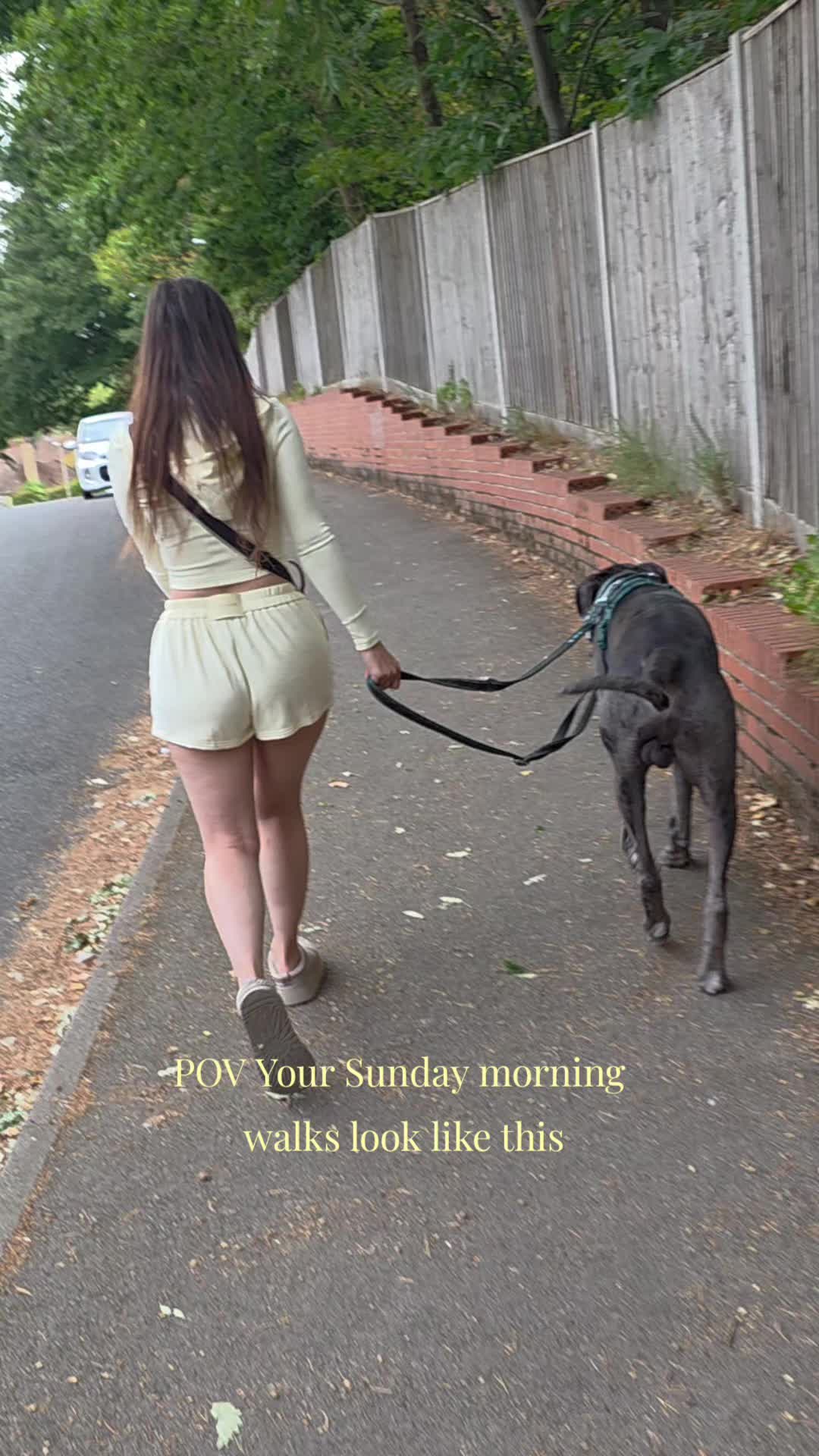 @Magnus the GREAT DANE