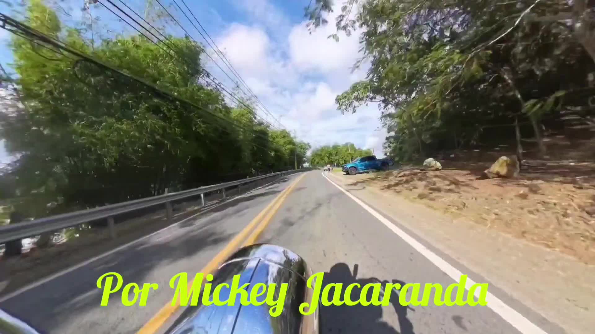 @Mickey Jacaranda