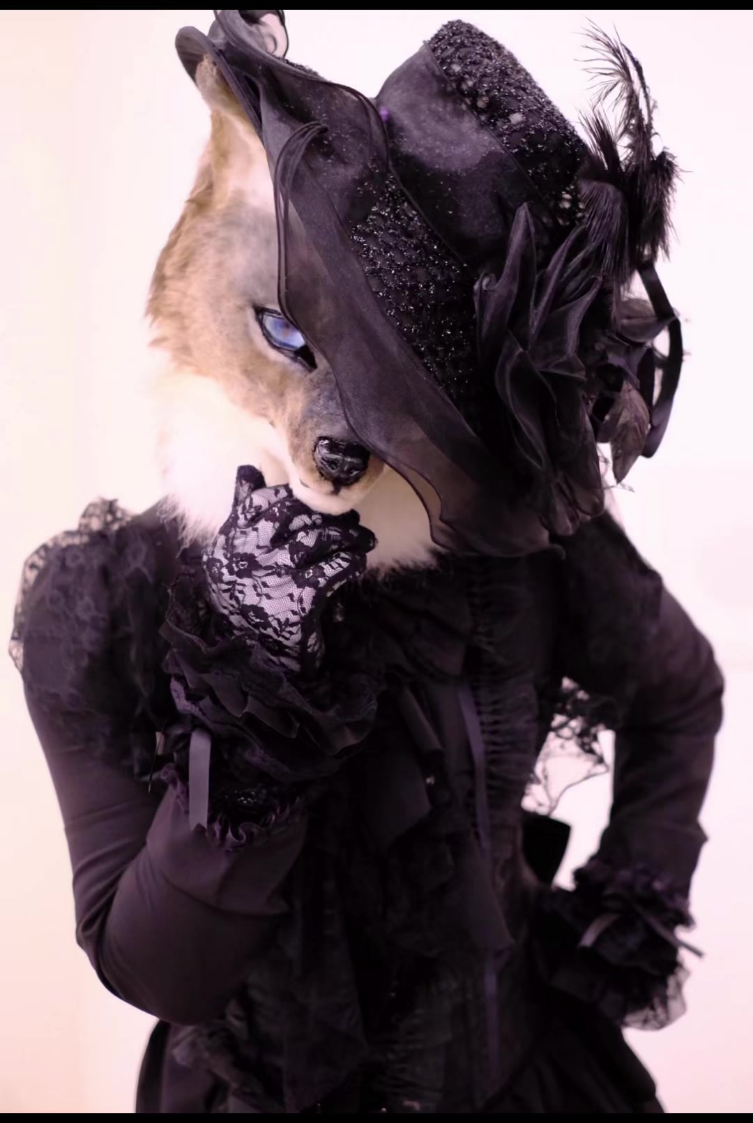 @furryfenrirxoxo