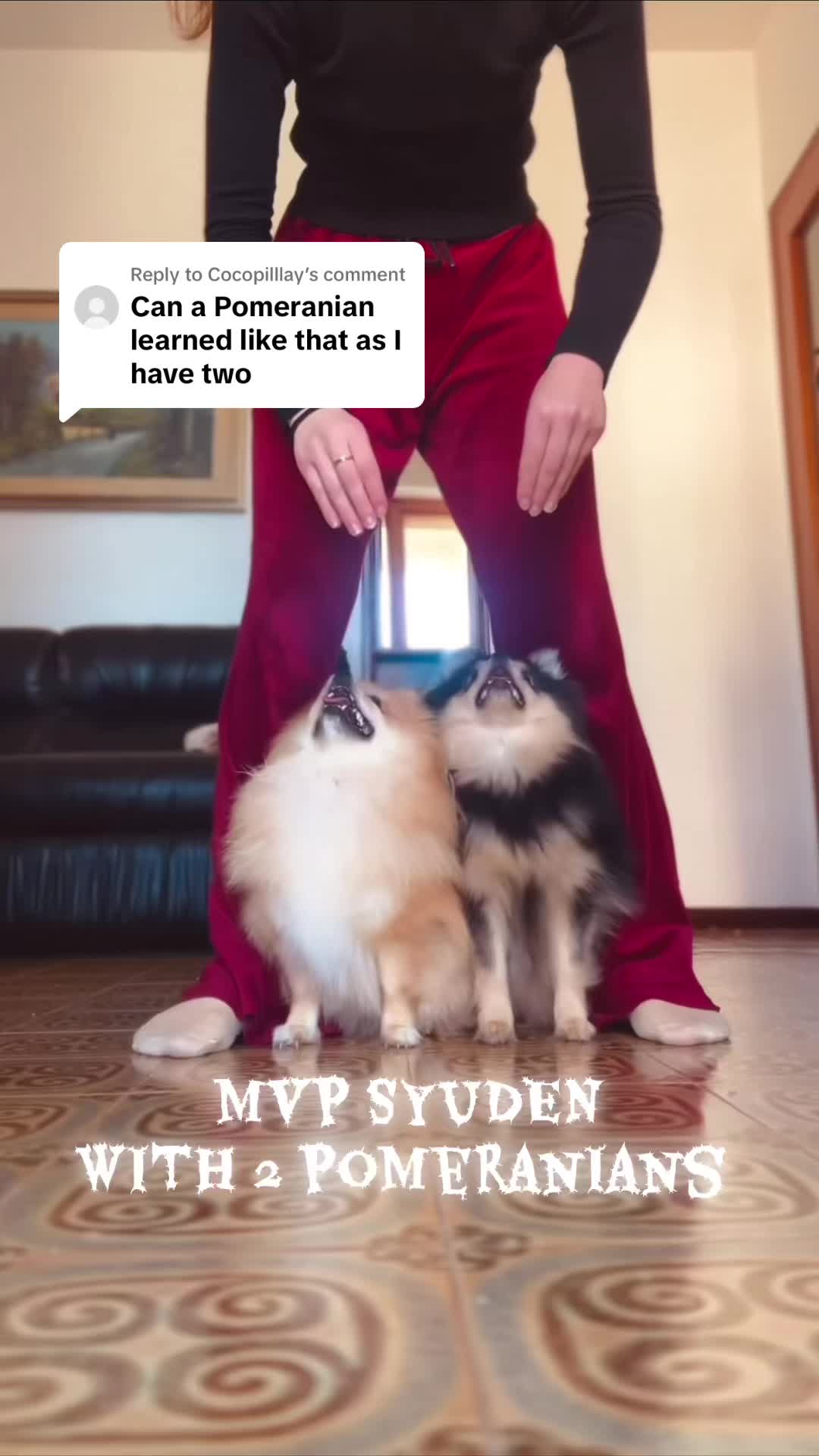 @STSK9