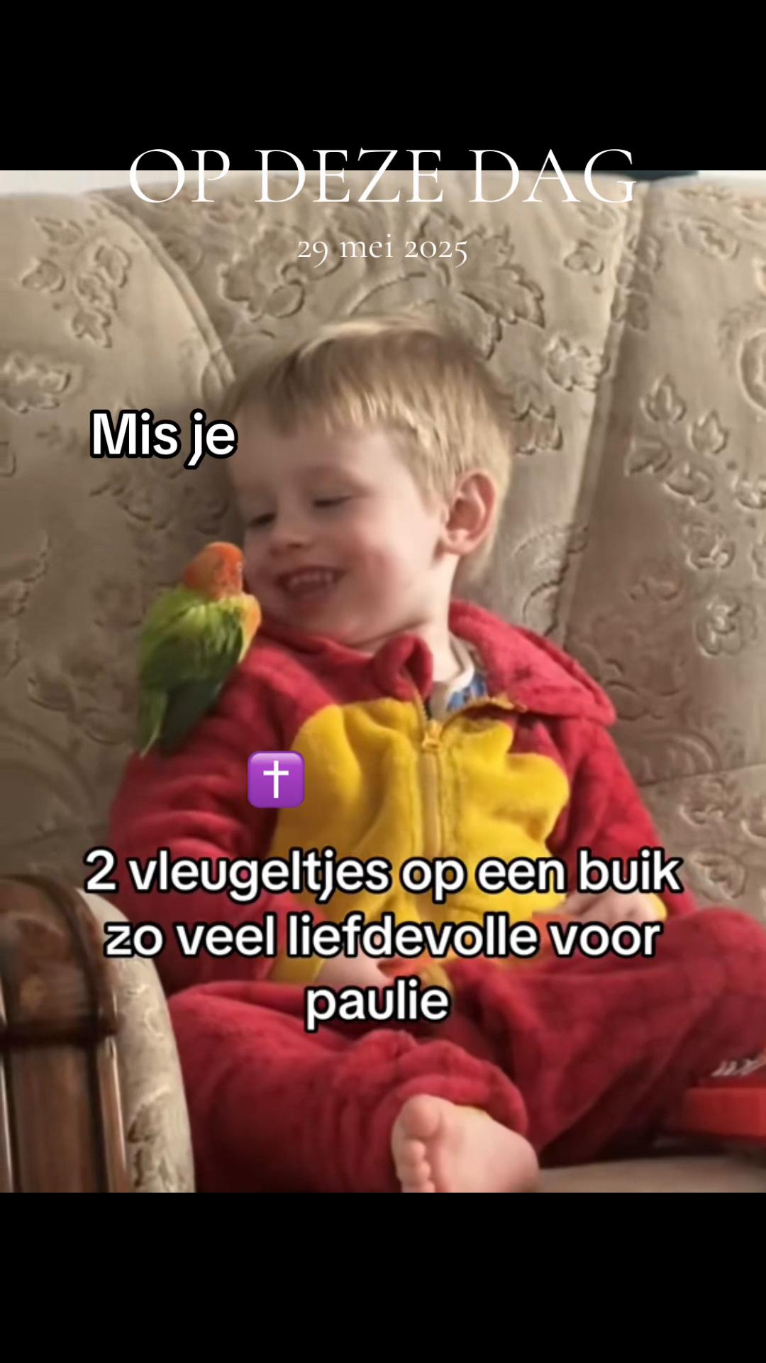@🦋vlindertje🦋