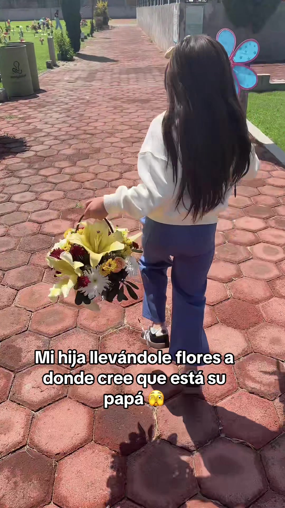 @Los Renys