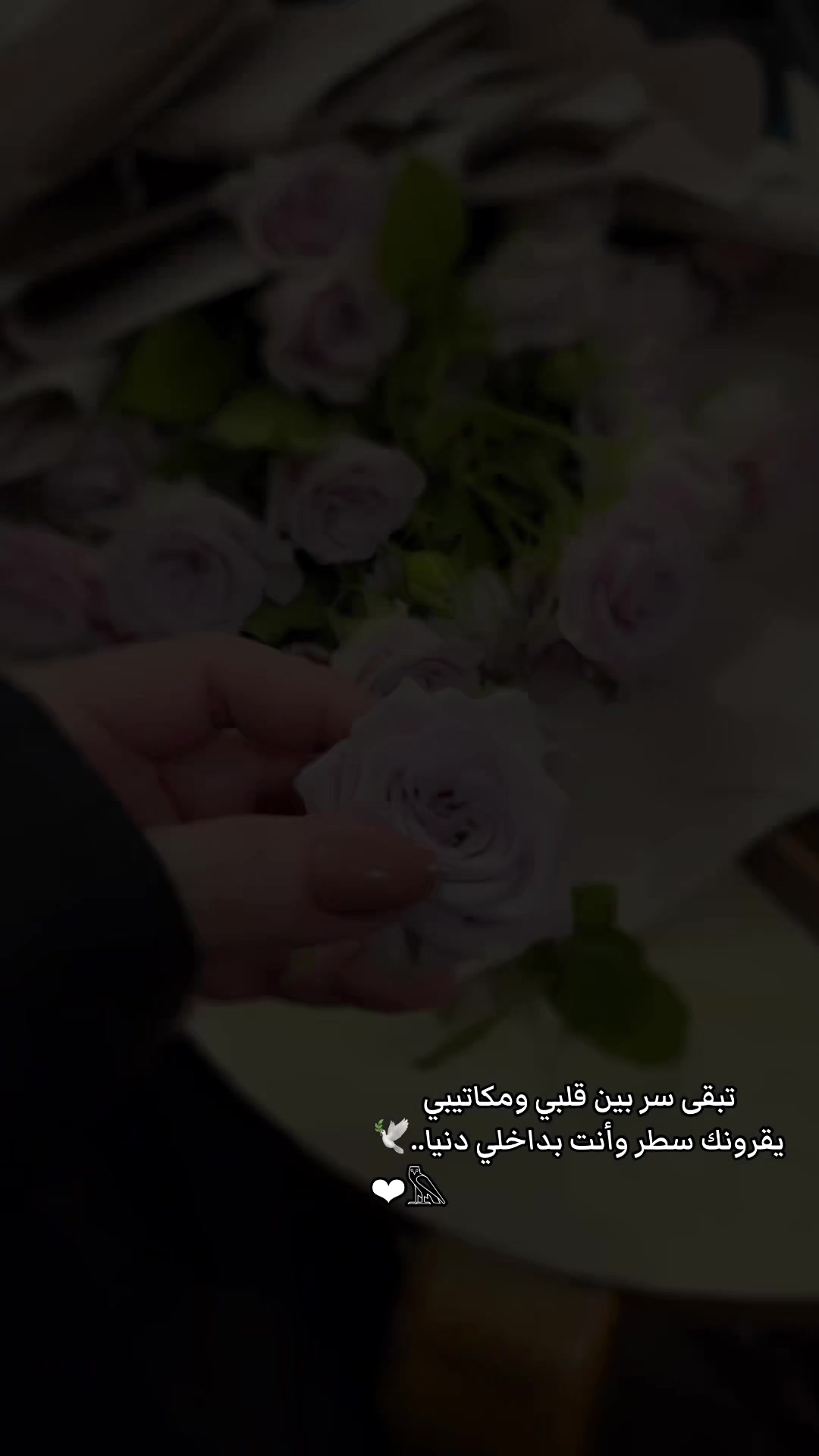 @𓂀ℒ𝒜𝒩𝒜𓂀