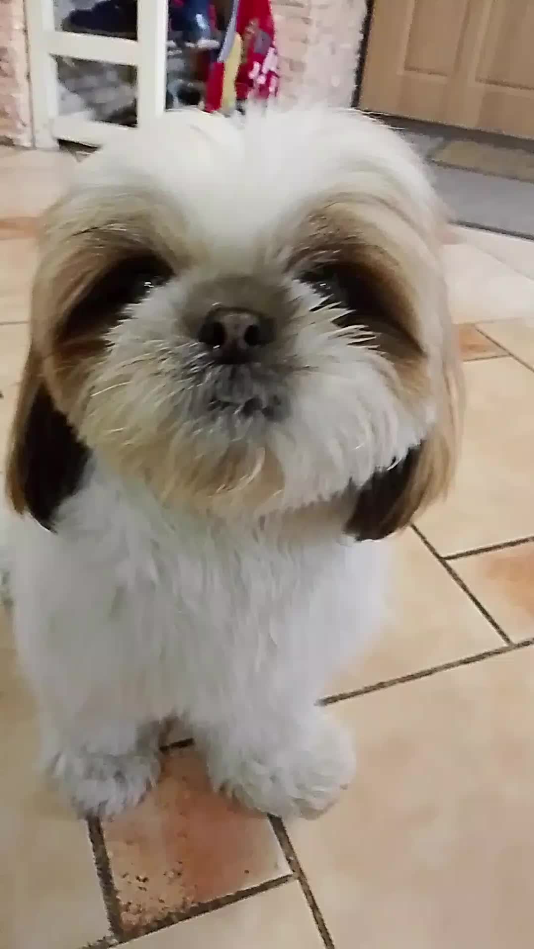 @𝔐𝔍