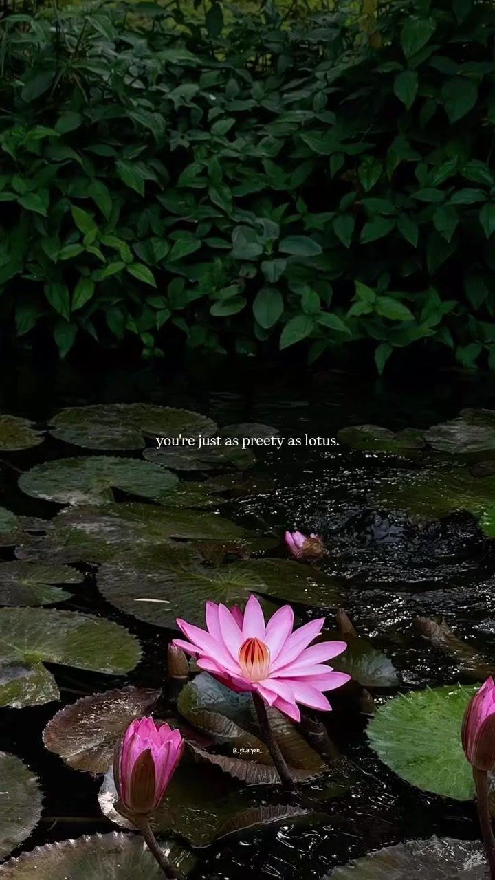 @🦋♡Qکنول♡🦋