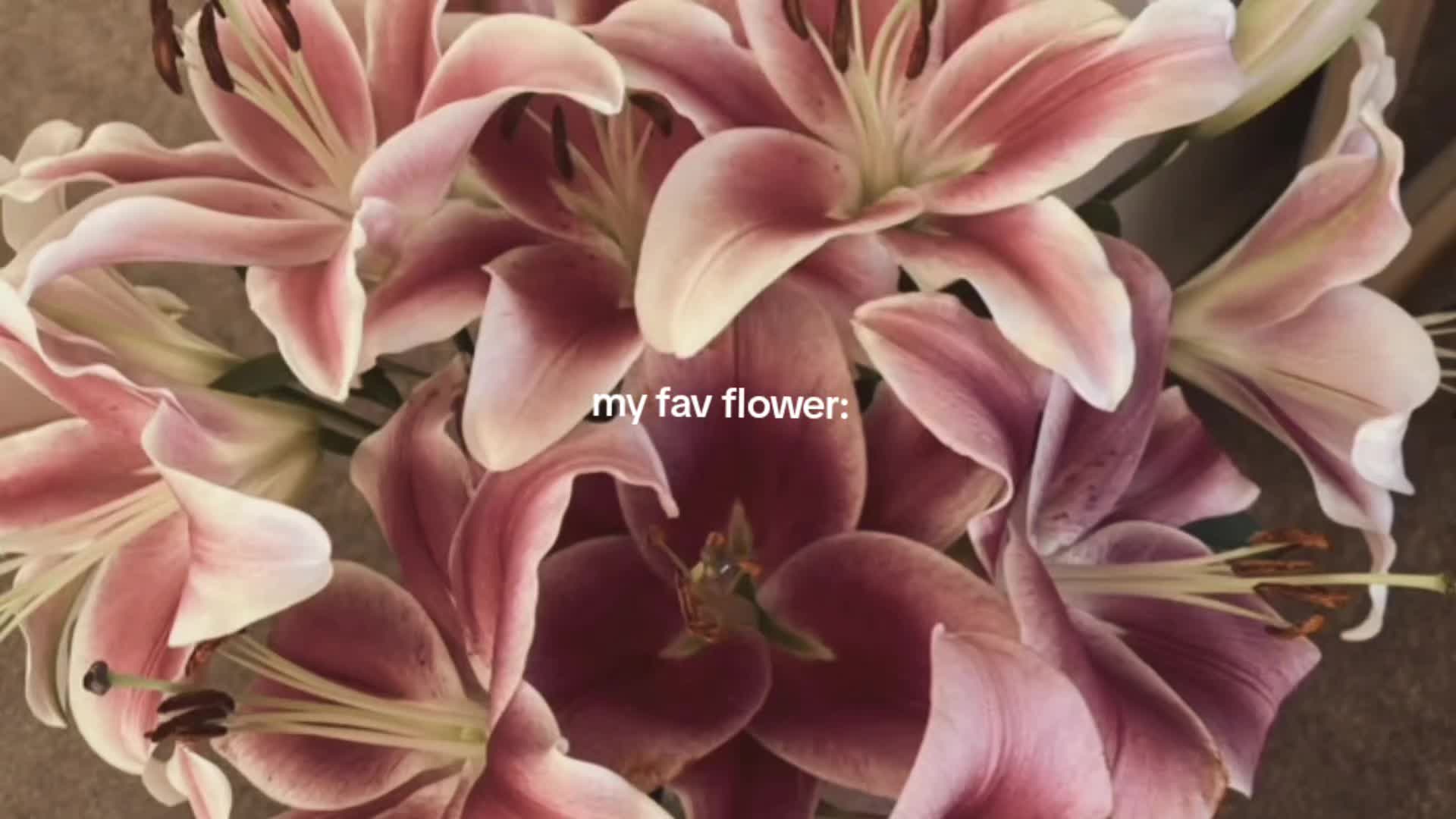 @𝑾𝒚𝒍𝒐𝒔🍸