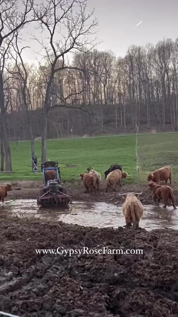 @Gypsy Rose Farm, LLC