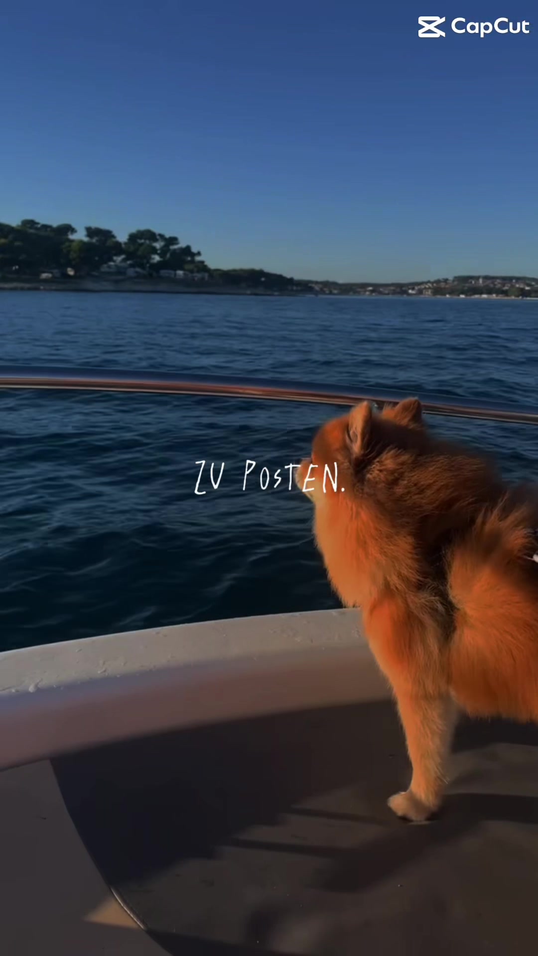 @kimi