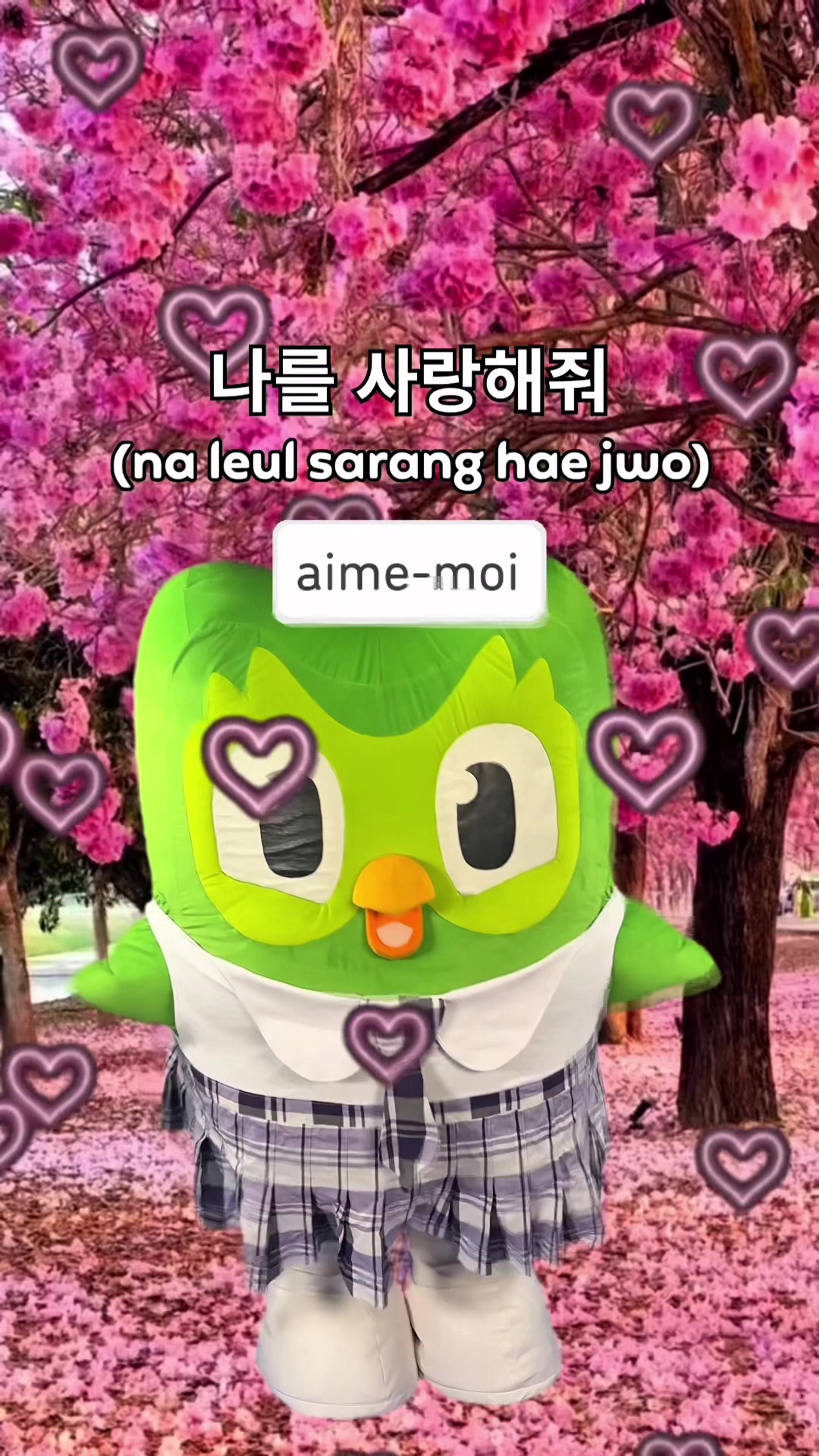 @Duolingo France