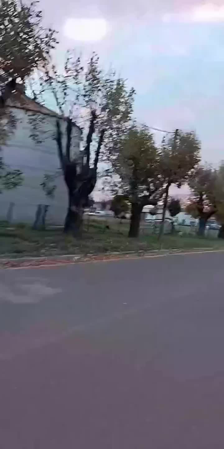 @estrellita