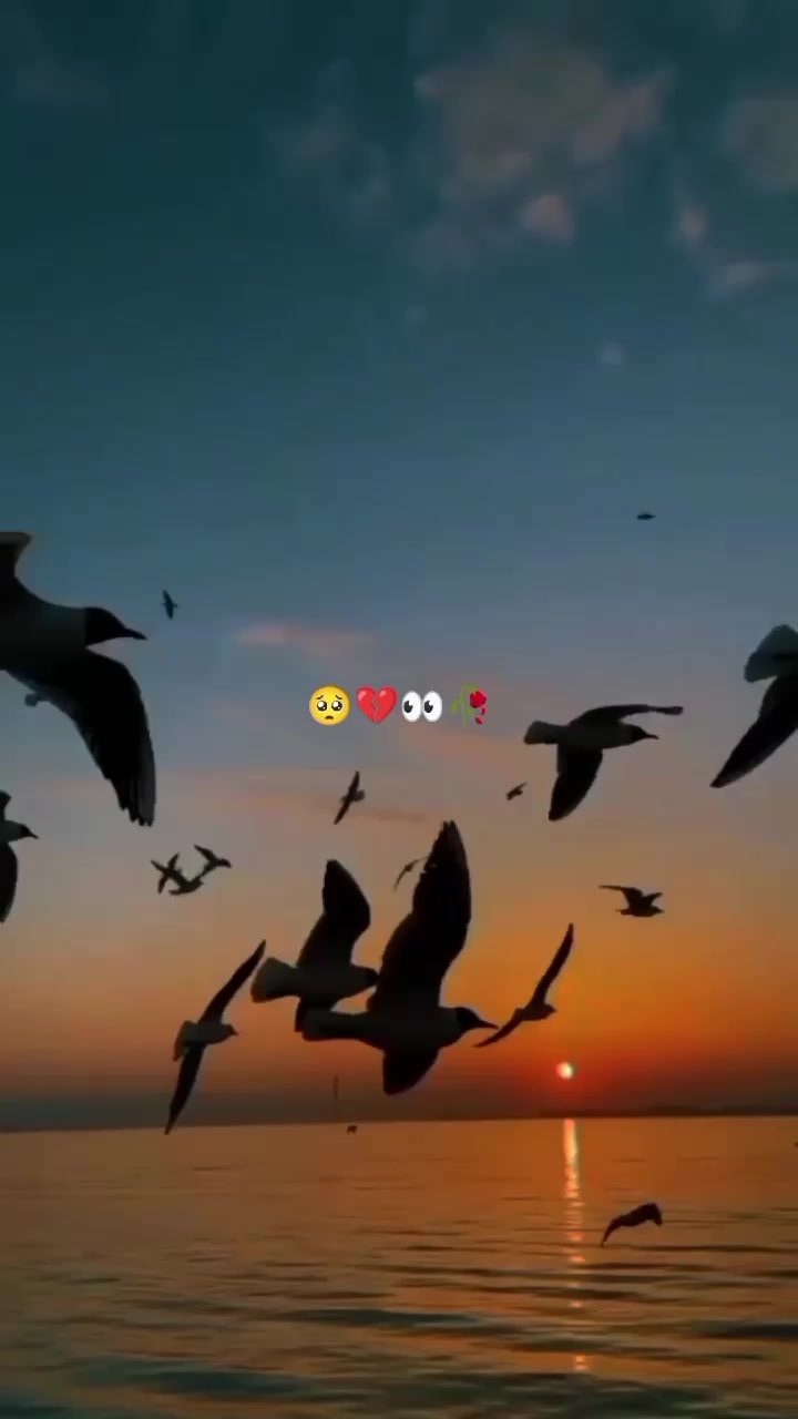 @shahzdi_aesthetic