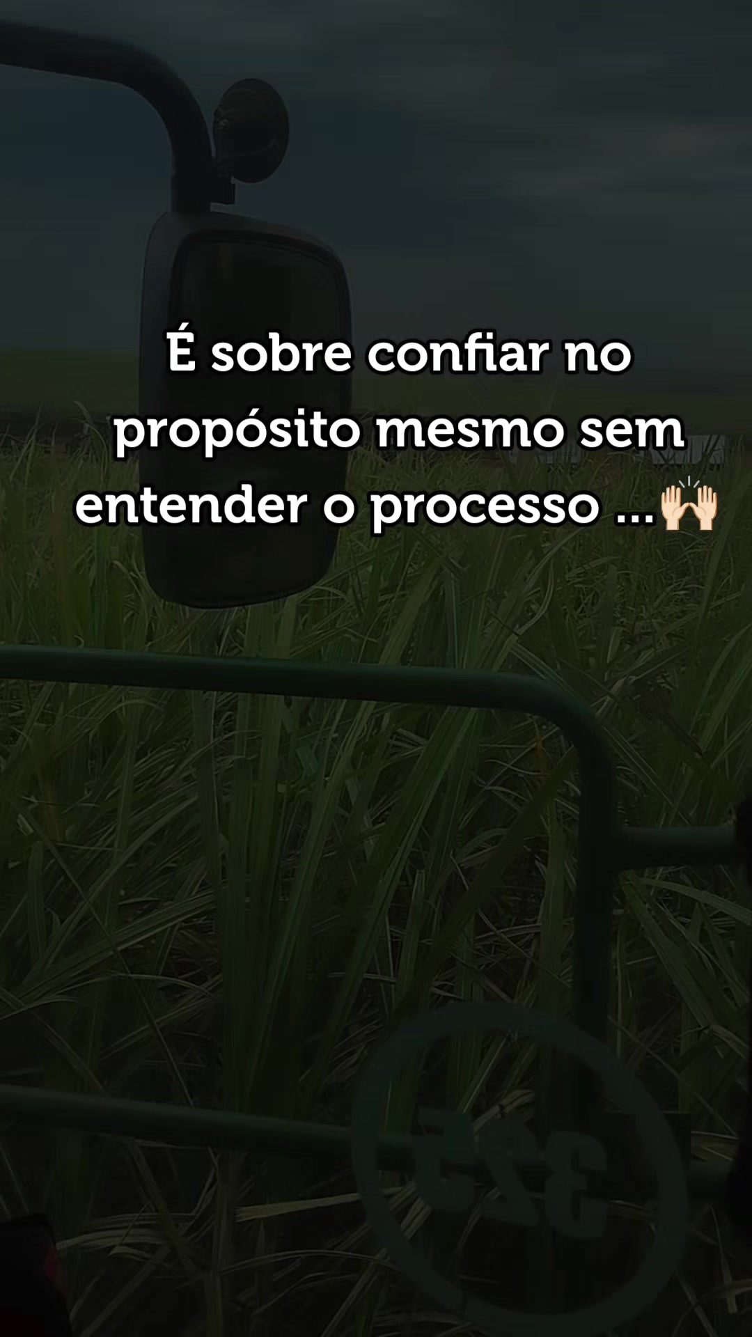 @Patrícia corrêa