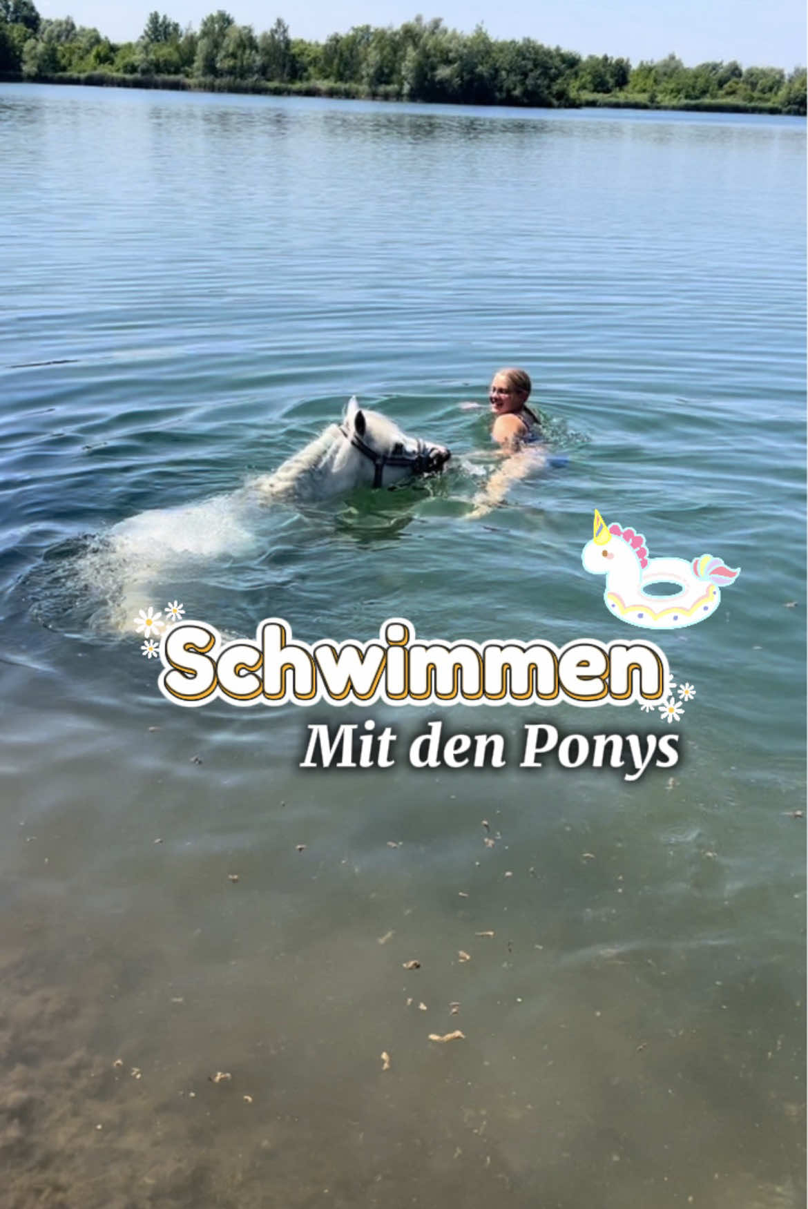 @pferdesportlandgrebe