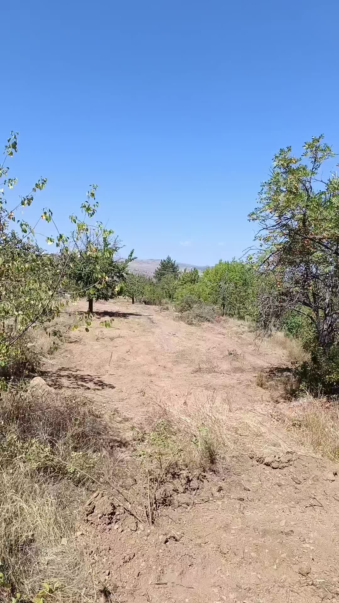 @Duran Karakaş