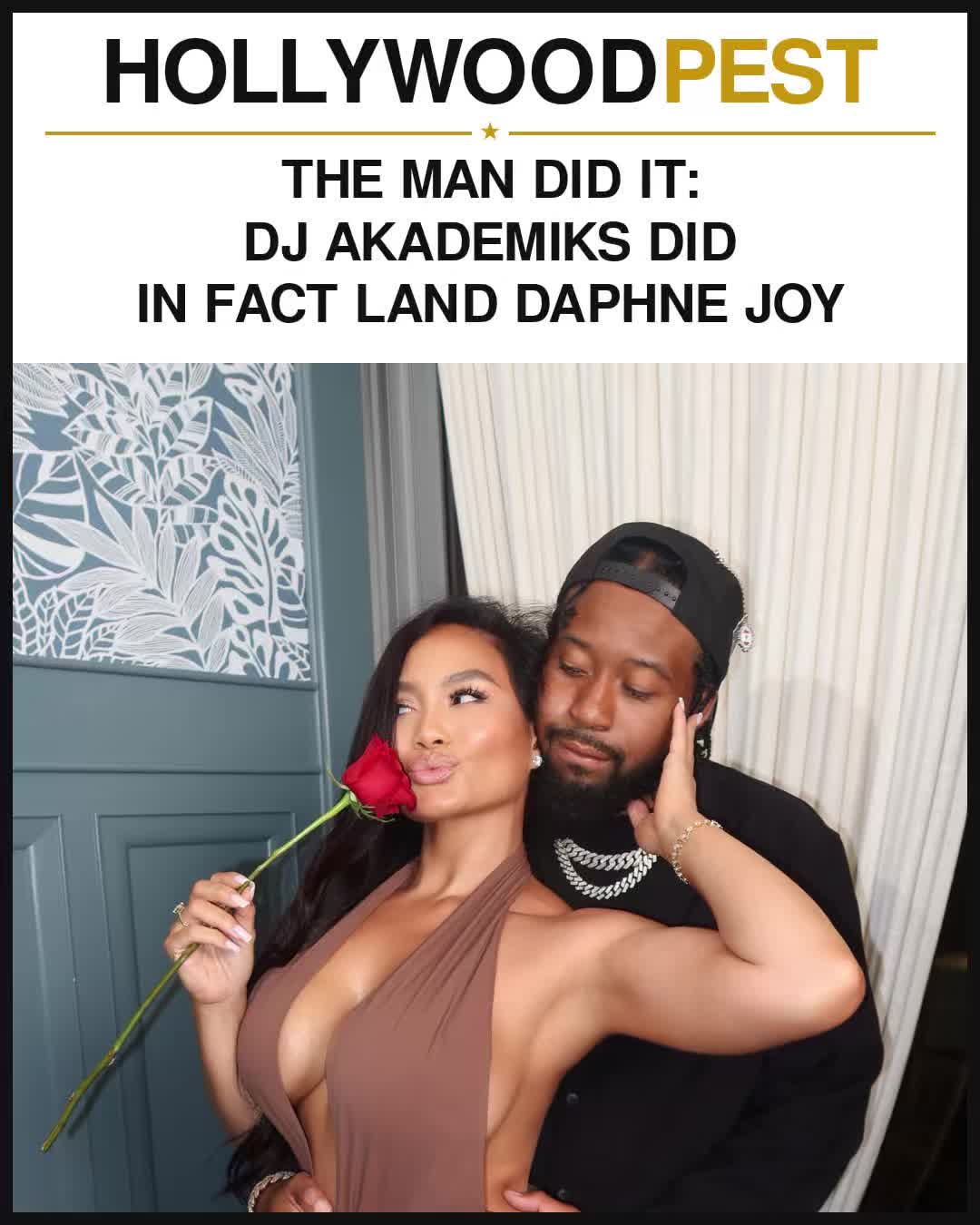 @hollywoodpest