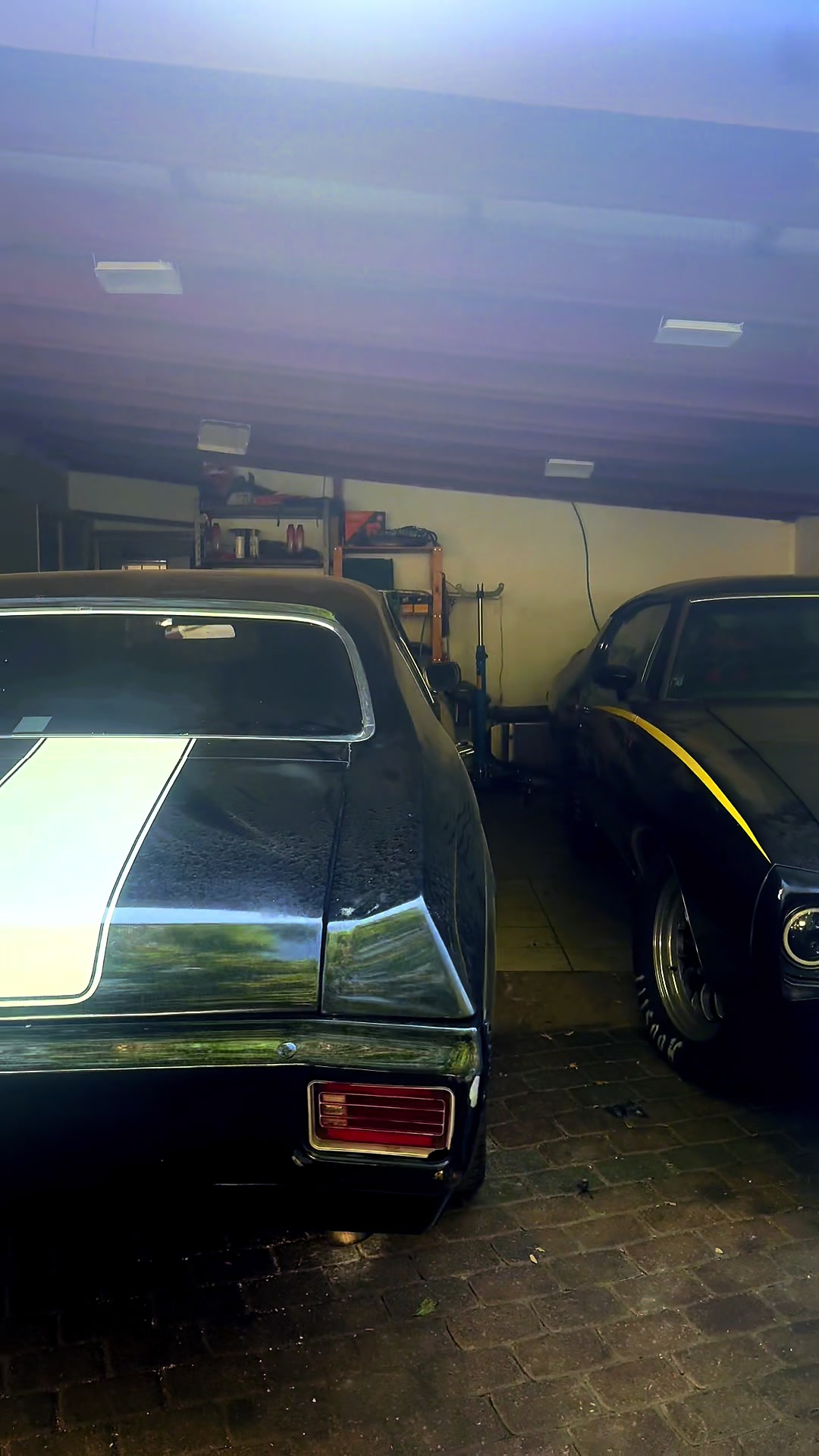 @Chevelle