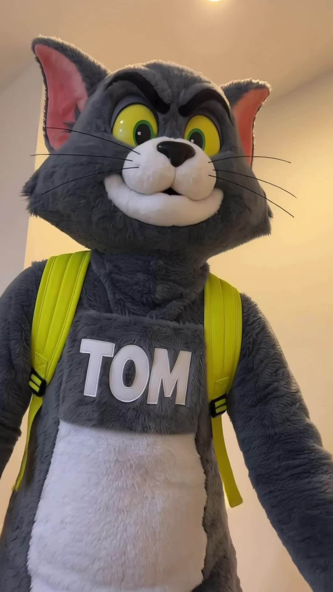 @TOM 🪤😺