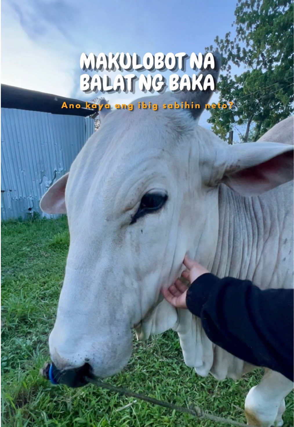 @indaypoypoy