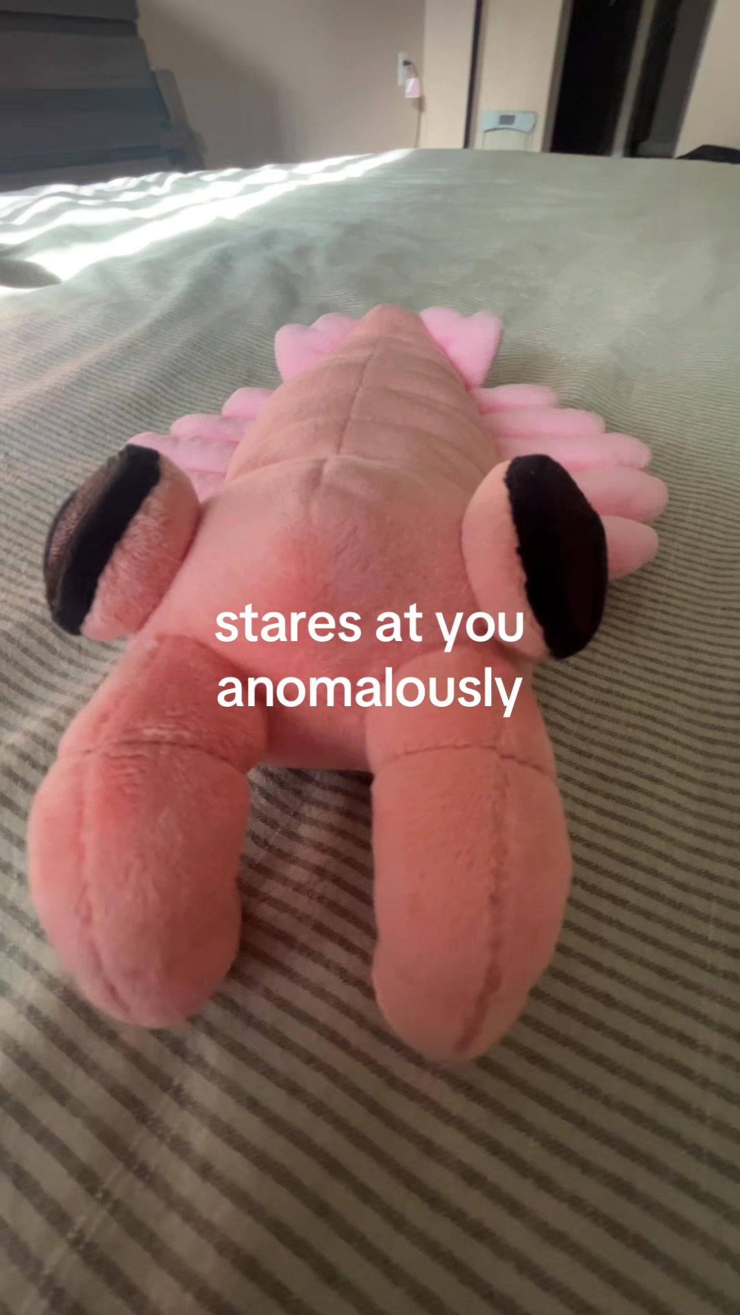 @sneepsnorp3d