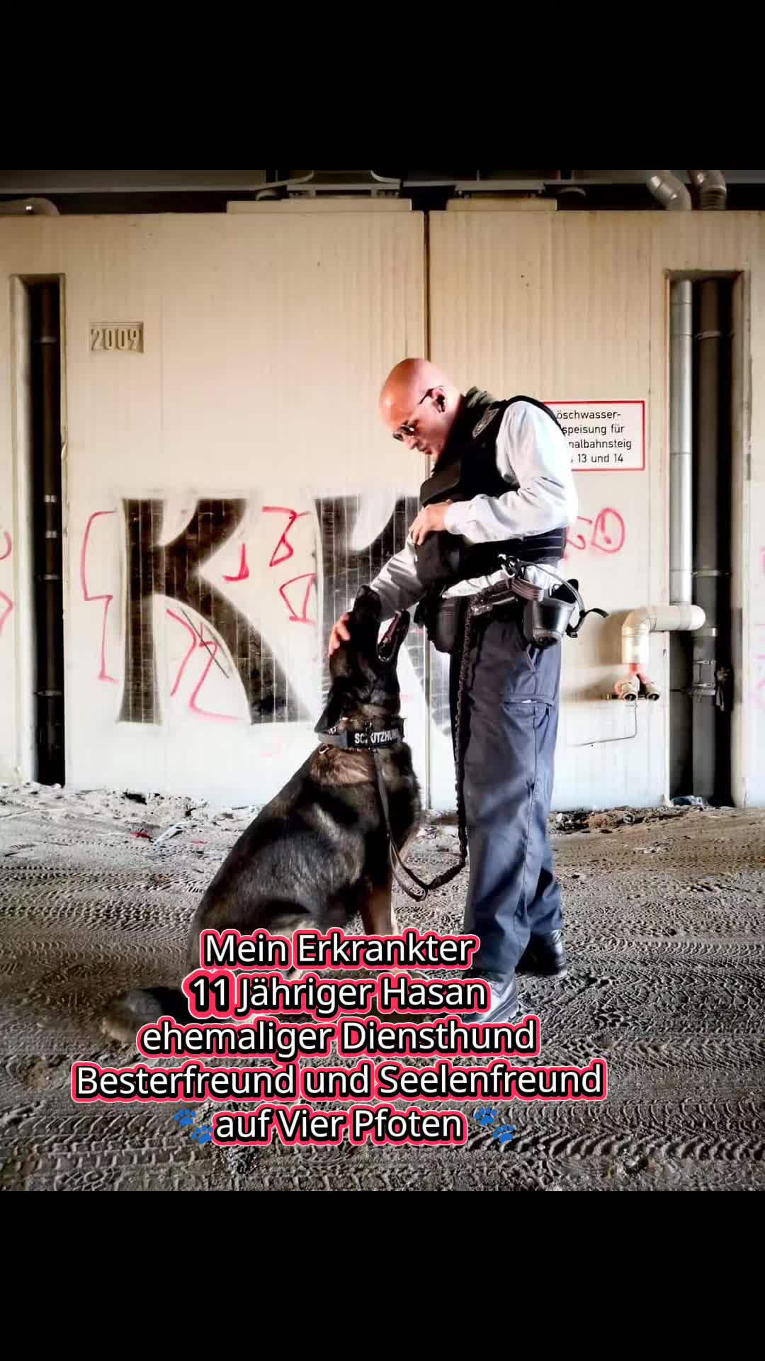 @K9 Palatinus-Unit☑️