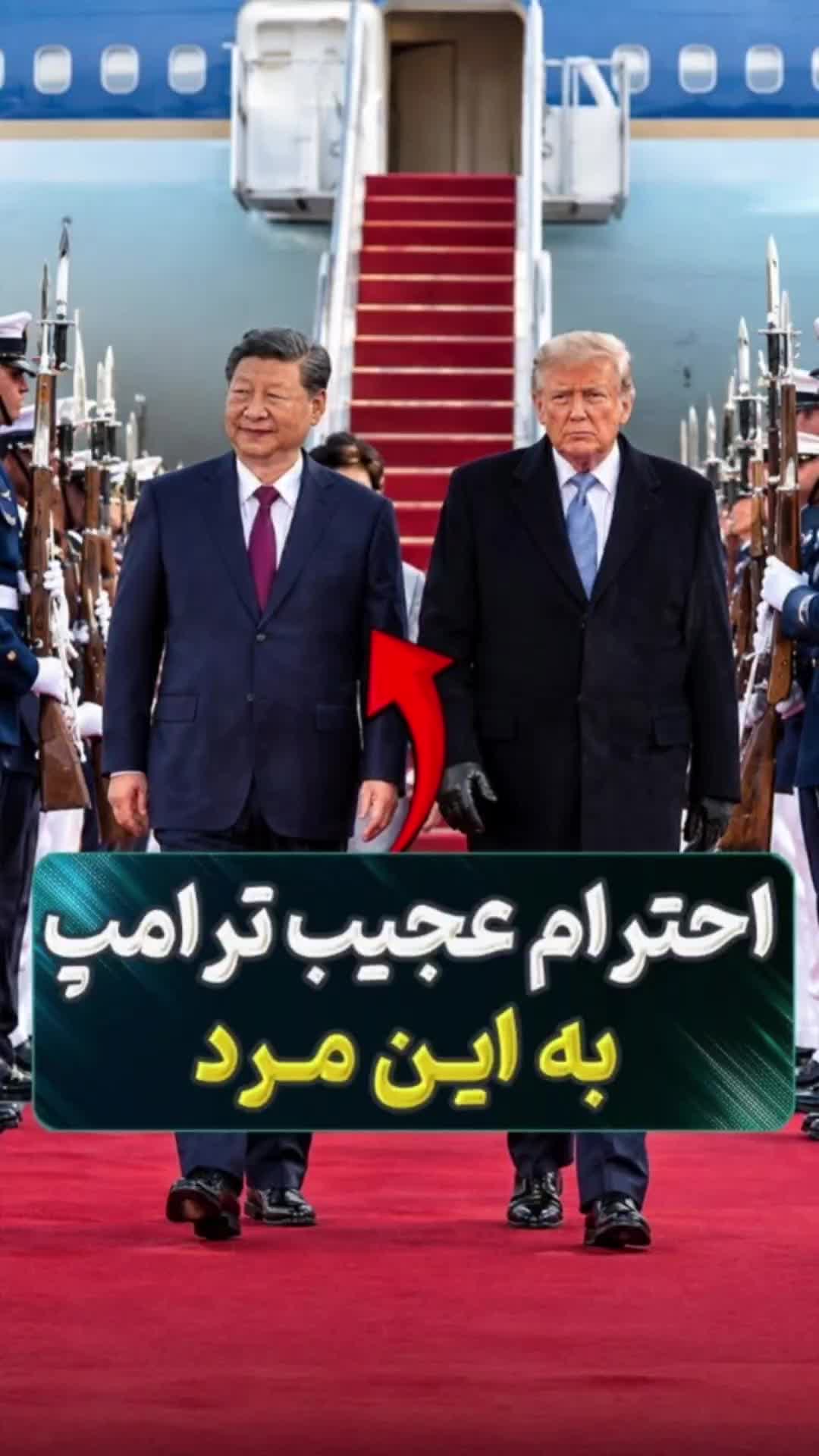 @فکت مغز