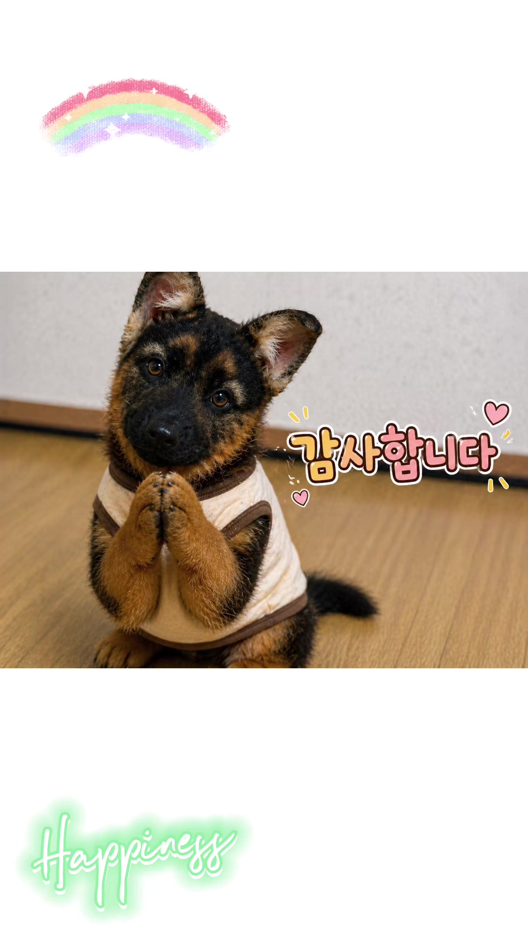 @메이헬린☽