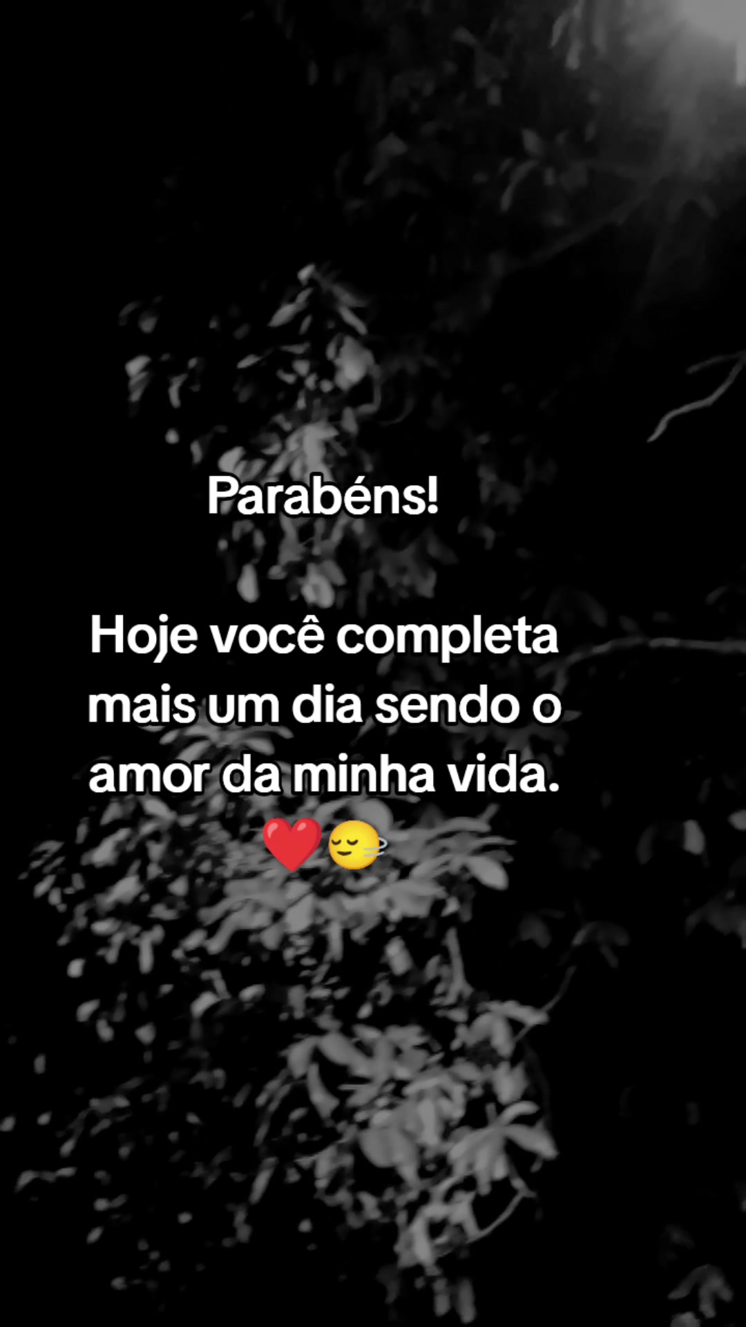 @frases aleatórias