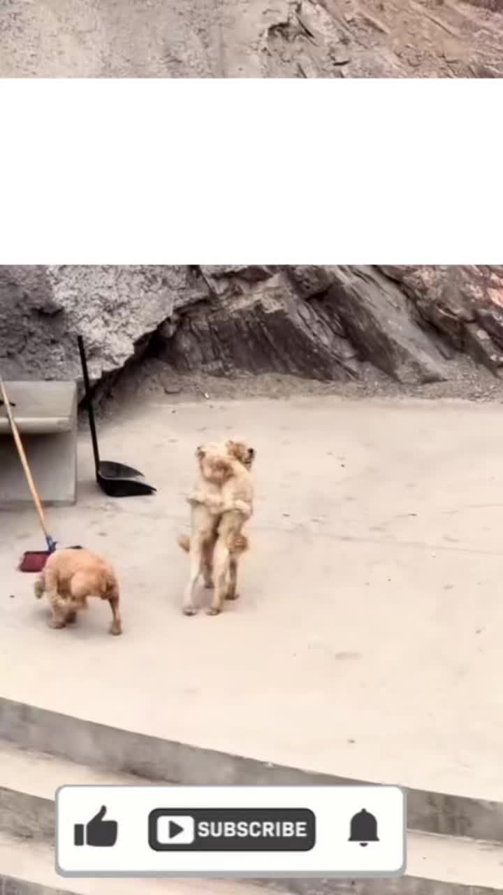 @VEILCLIPZ