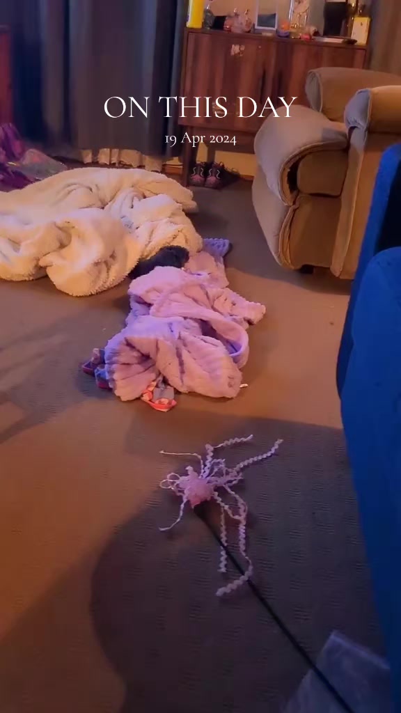 @SJ2986🇦🇺