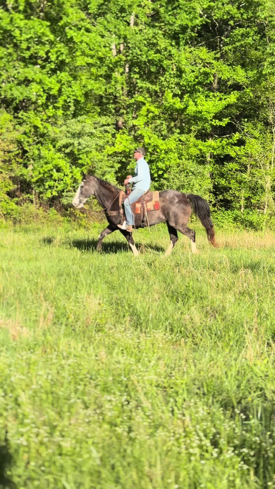 @Lucky D Ranch 🍀