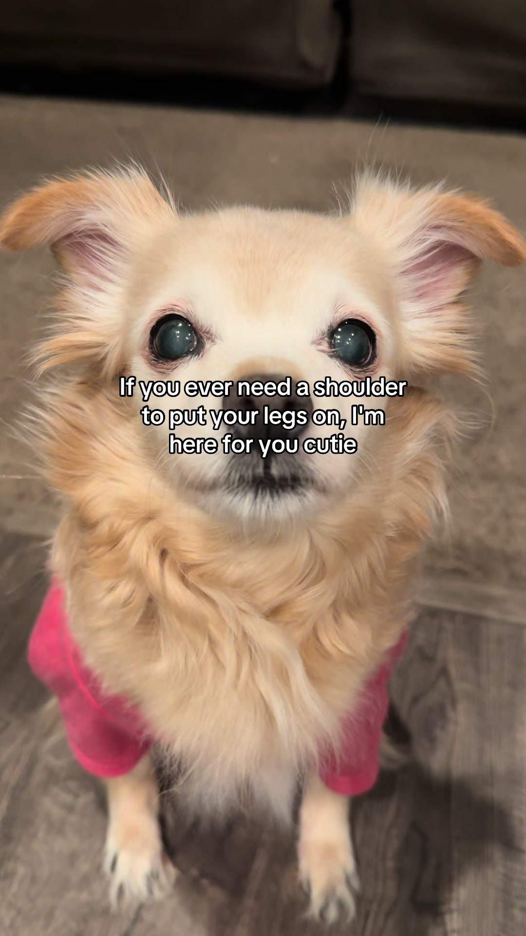 @Humphrey