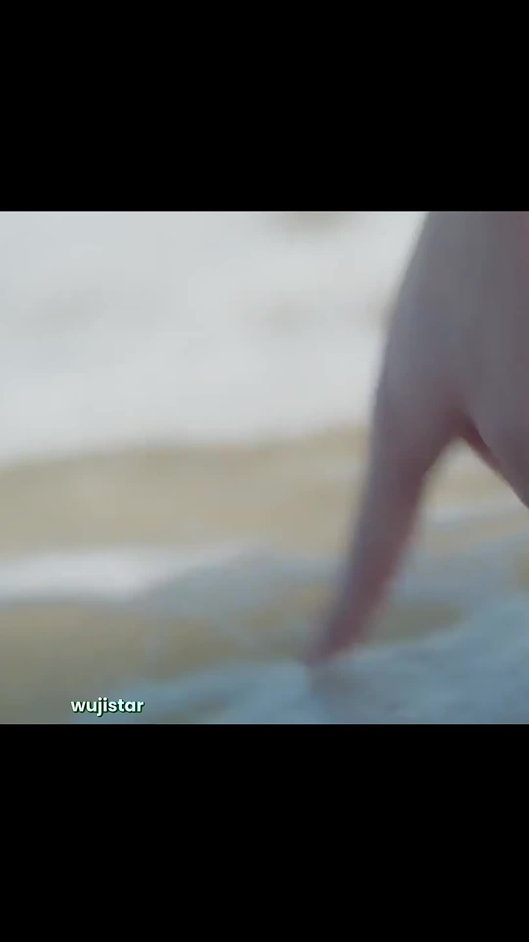 @wujistarr