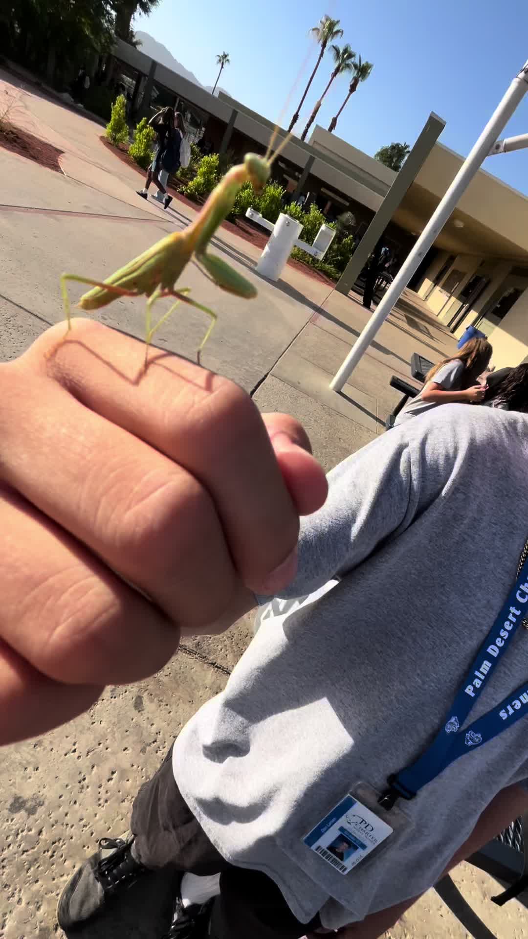 @ๆ