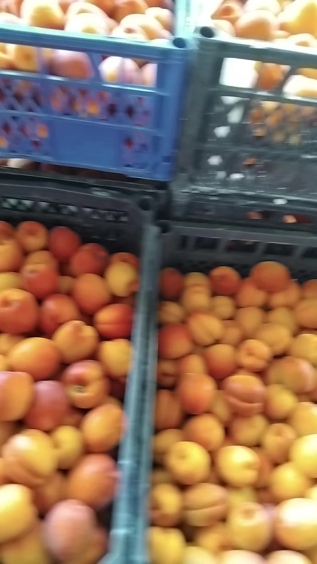 @Джафар Мамедов 🇦🇿🇺🇦