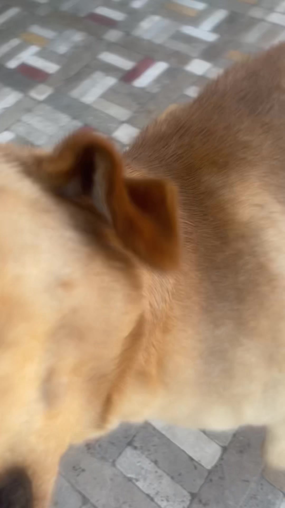 @Nic