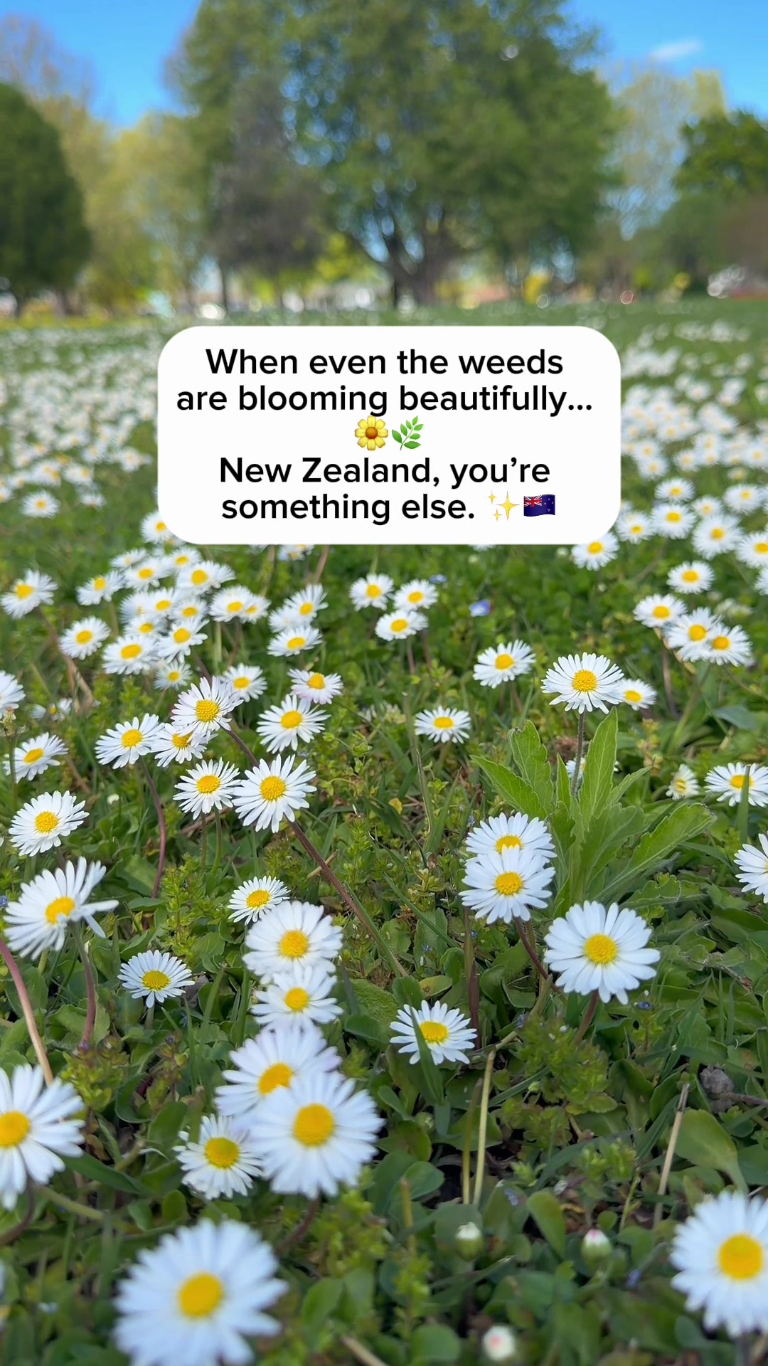 @Pinoy Traveller in New Zealand