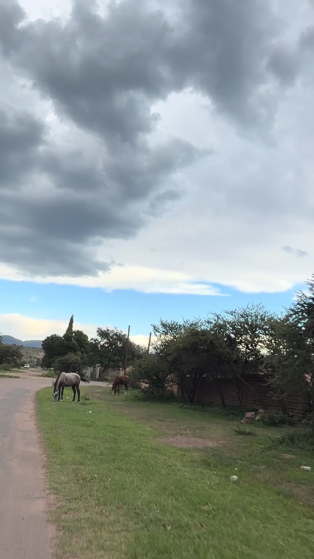 @Durango🦂Random