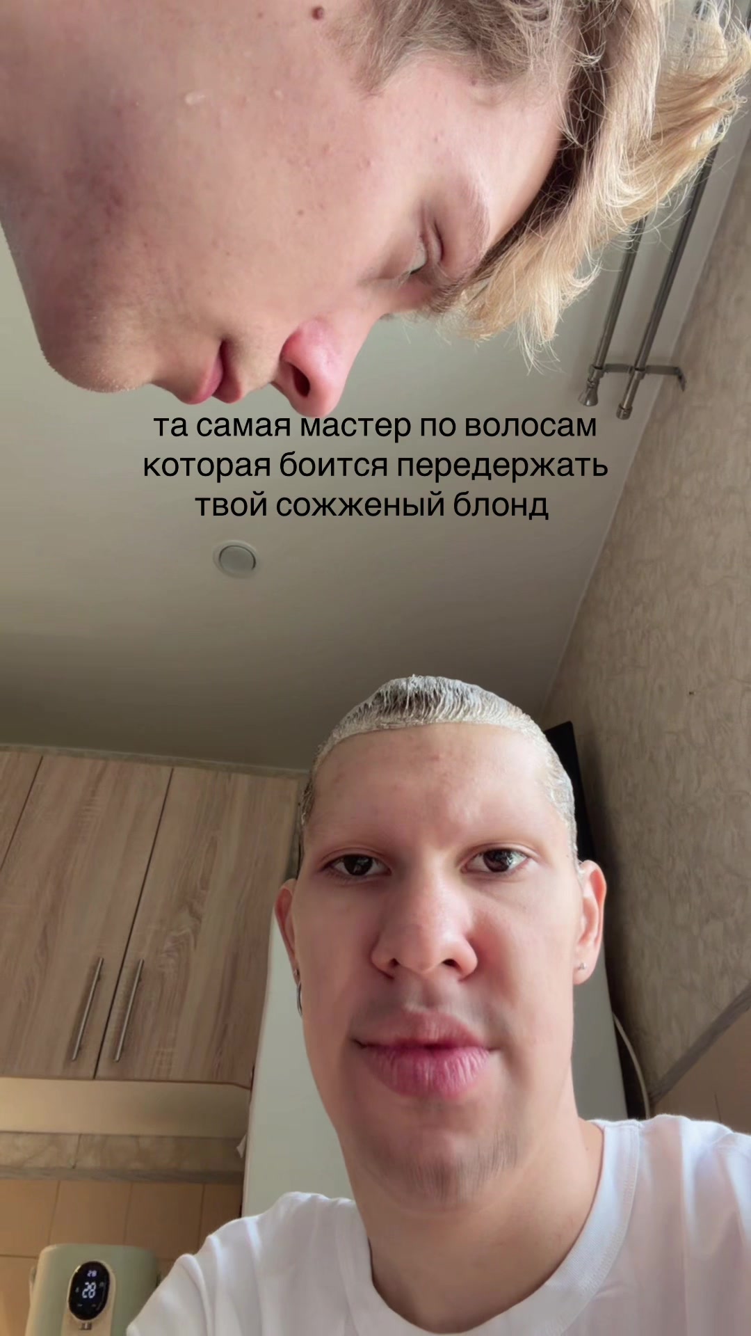 @qasez
