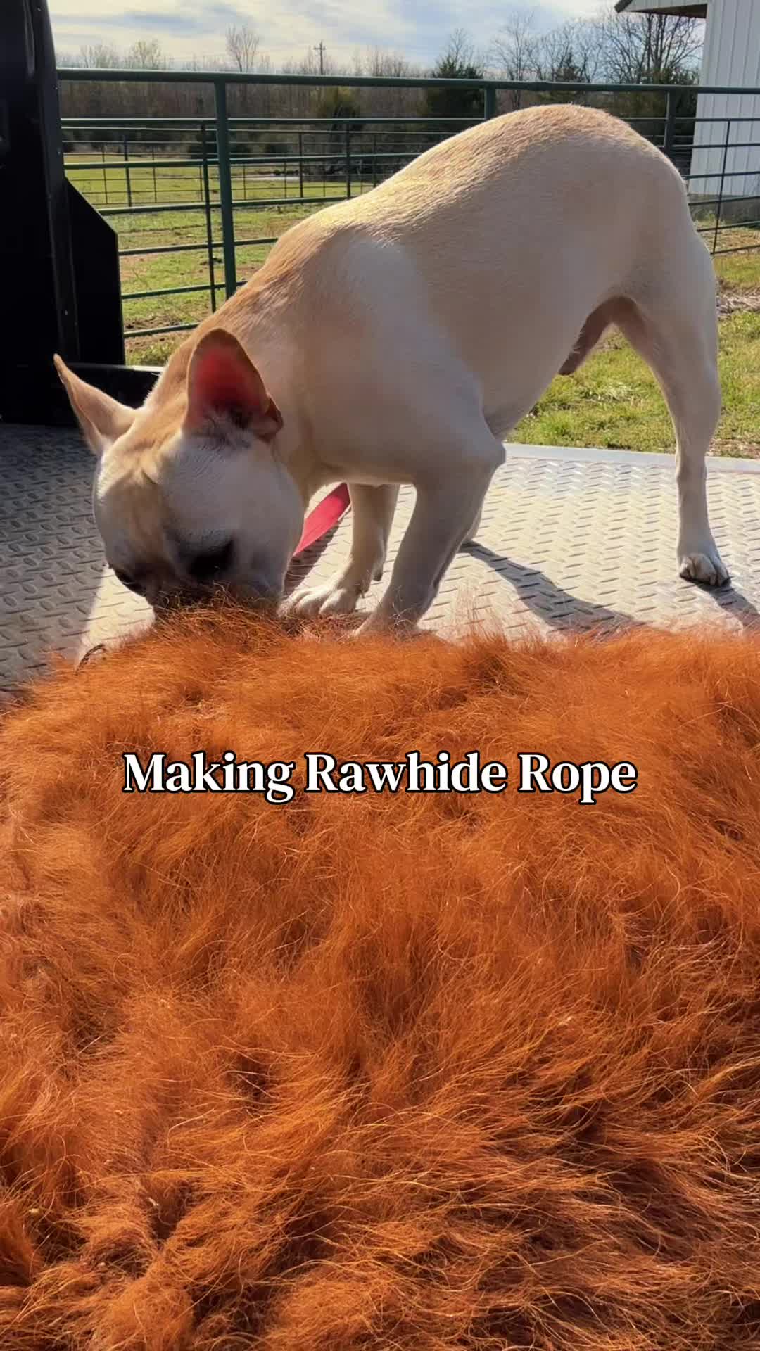 @ScottGoreRawhide