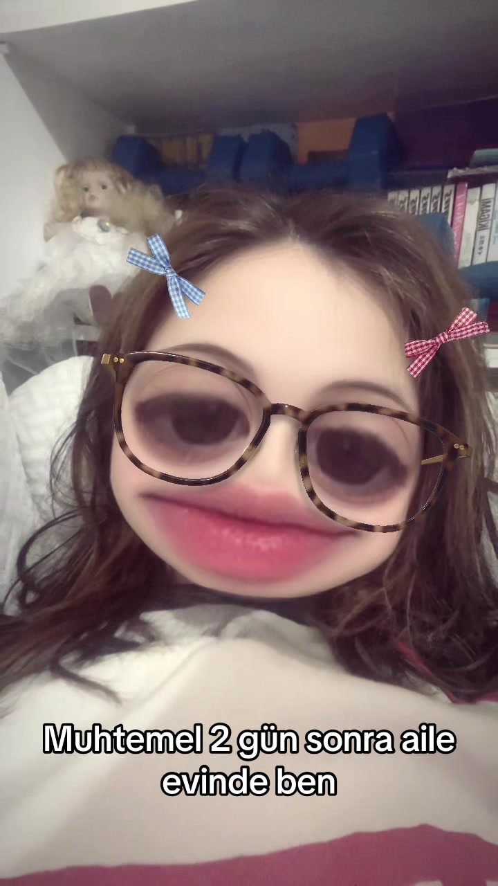 @Z&uuml;loz&uuml;loyaylalar