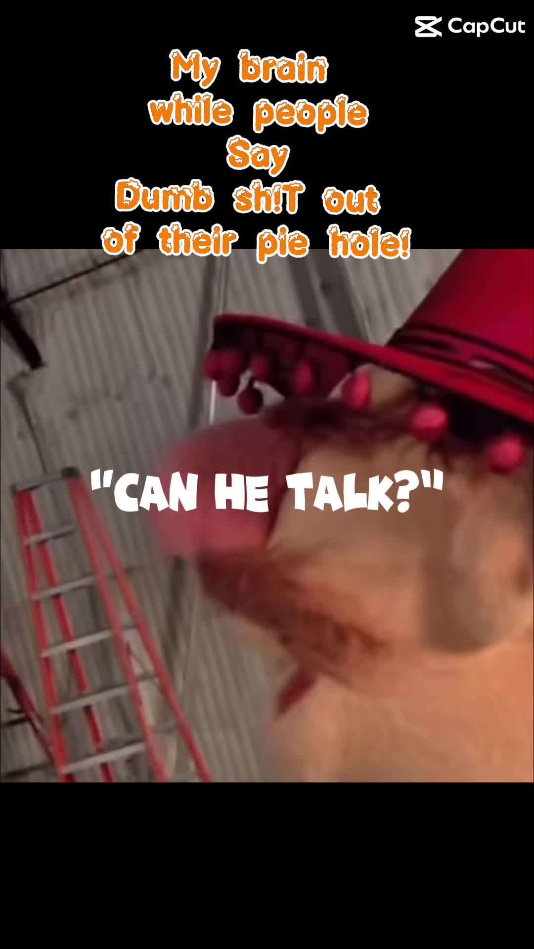 @homi3_witDaXtrchrOmi3